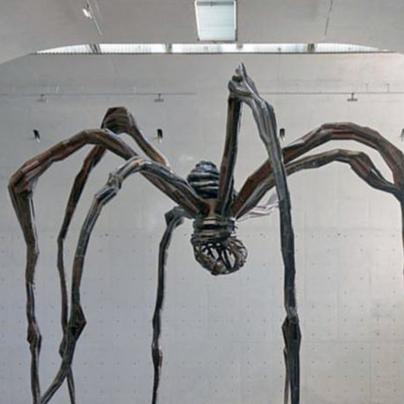 bugsandspiders